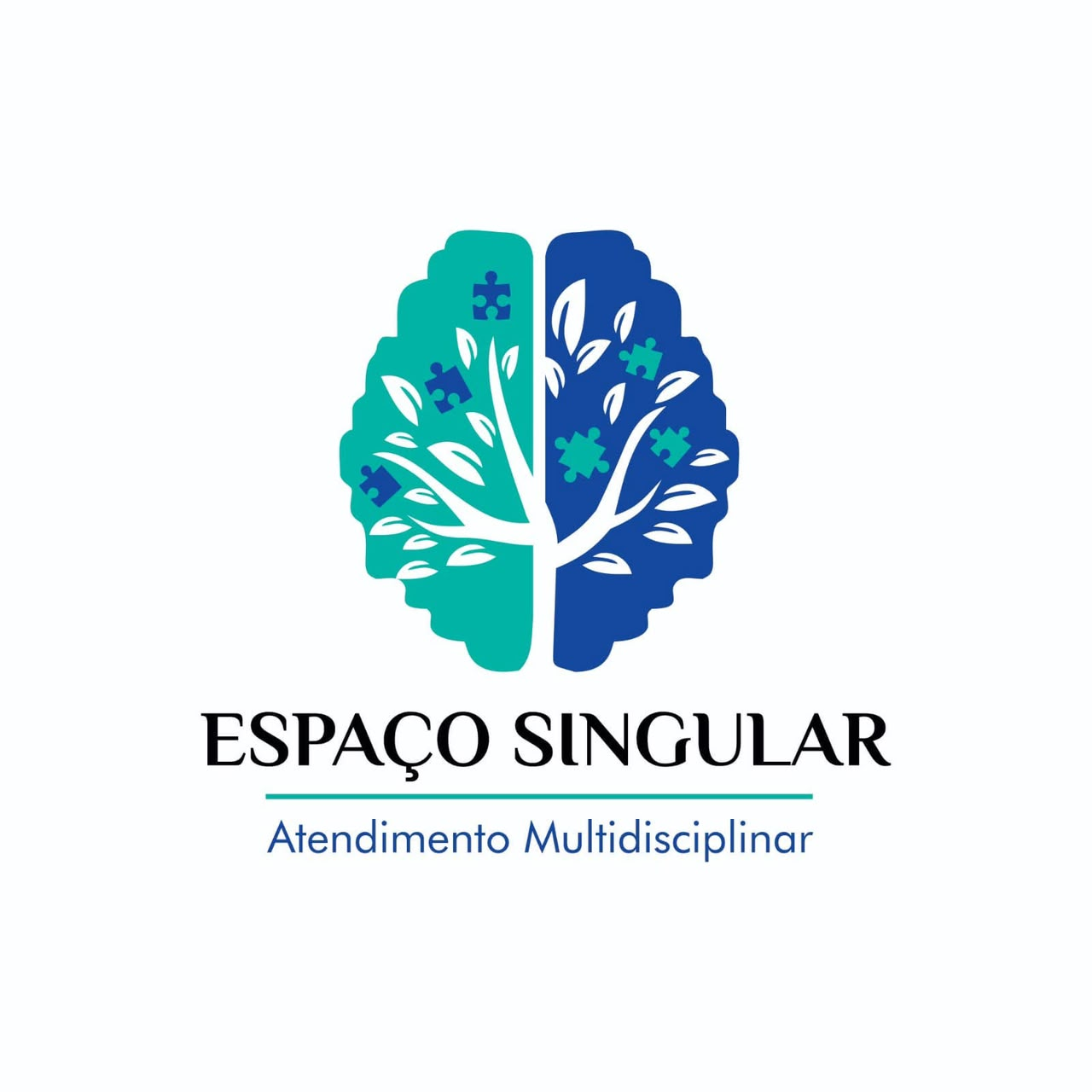 Logo da Espaço Singular